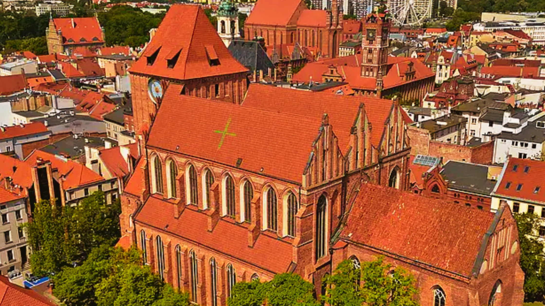 katedra janów